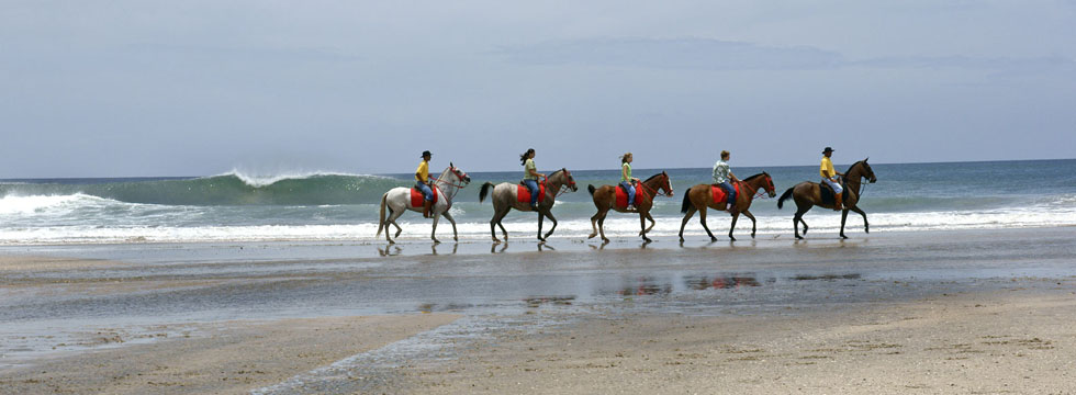 Equestrian center